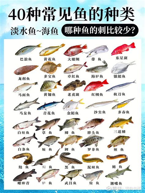 魚類有哪些|我們常吃的33種海魚名稱和圖片大全，你認識多少種、。